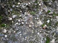 cantara gurne23122011 056